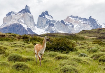 Polak zapalił papierosa w parku narodowym w Chile. Dostał mandat o wartości 60 tys. zł