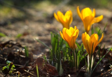 Prognoza pogody na 22 i 23 marca. Komunikat IMGW