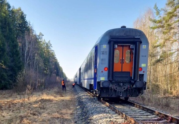 Wypadek w woj. podlaskim. Pociąg uderzył w żubry