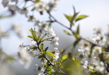 Pogoda w Wielkanoc może zaskoczyć. Najnowsza prognoza