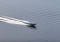 Spektakularny atak. Ukraiński dron morski zestrzelił rosyjskiego Su-30