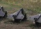 Media: białoruski śmigłowiec strącił rosyjski dron lecący w kierunku Ukrainy