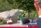 Skandal w Berlinie. Jest nagranie ze złożenia wieńca od niemieckiego rządu