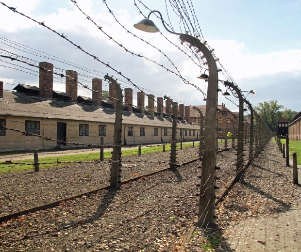 Prawnik chce pro bono reprezentować organizacje pozywające niemieckie media za „polskie obozy”