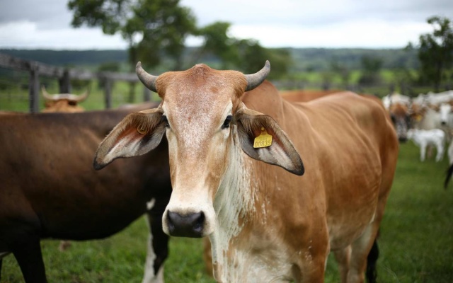 Jarosław Sachajko: Jest sposób na zablokowanie umowy UE-MERCOSUR