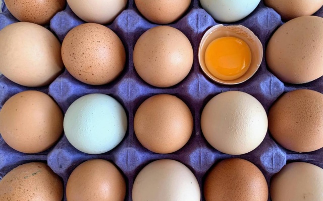 Brazylijskie mięso drobiowe i jaja zwolnione z unijnych kontroli jeszcze przed zawarciem umowy UE–Mercosur