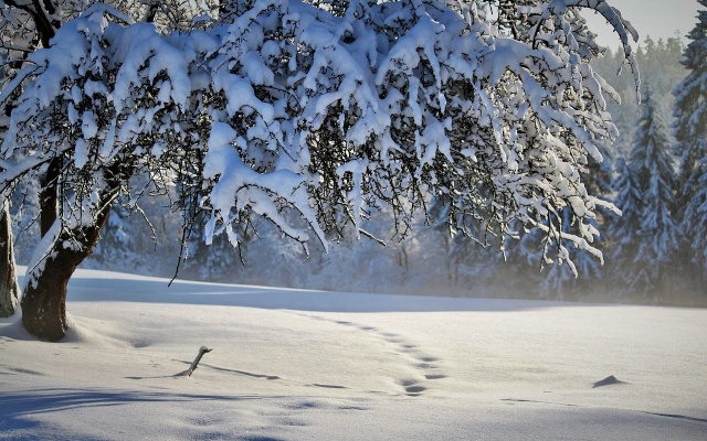 Marcin Bąk: Co dalej z tą pogodą? 