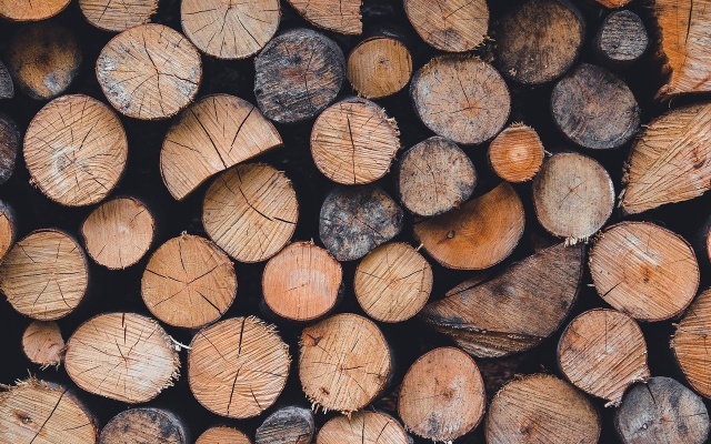 Pieniądze od Lasów Państwowych trafią do NFOŚiGW? Solidarność protestuje przeciwko kolejnej daninie