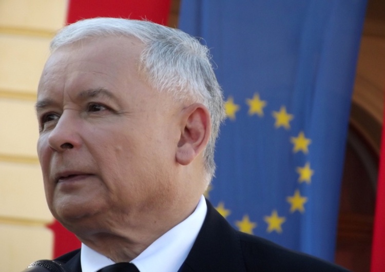  PSL za Solidarną Polskę? Polityk PiS: „Kaczyński ma już tego dość”