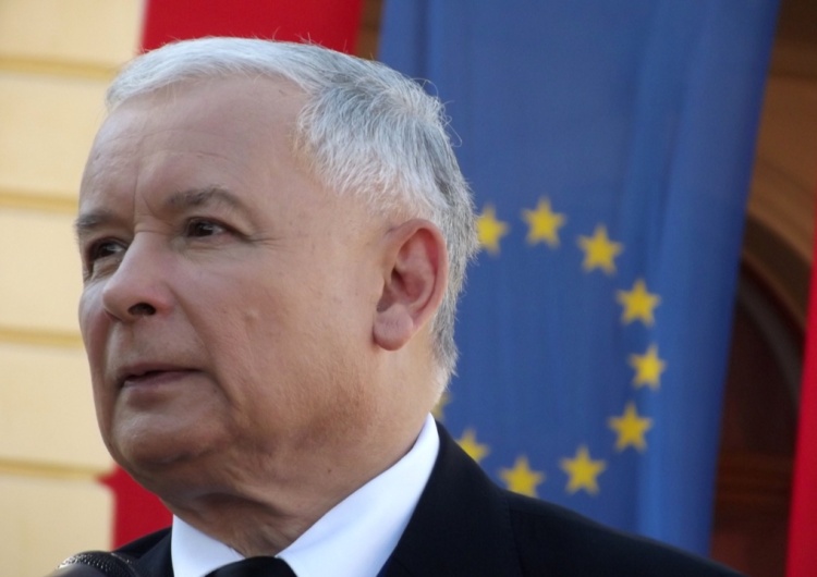 PSL za Solidarną Polskę? Polityk PiS: „Kaczyński ma już tego dość”