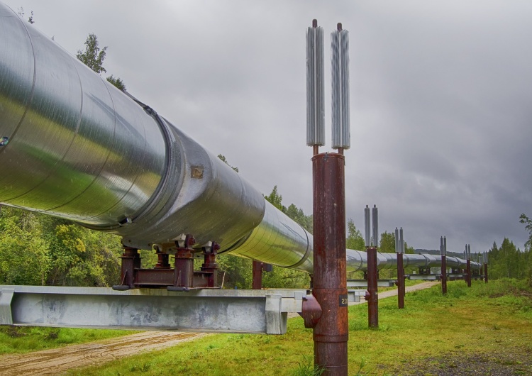 jdblack Rosja ubolewa: Firmy międzynarodowe nie chcą ubezpieczać Nord Stream 2 