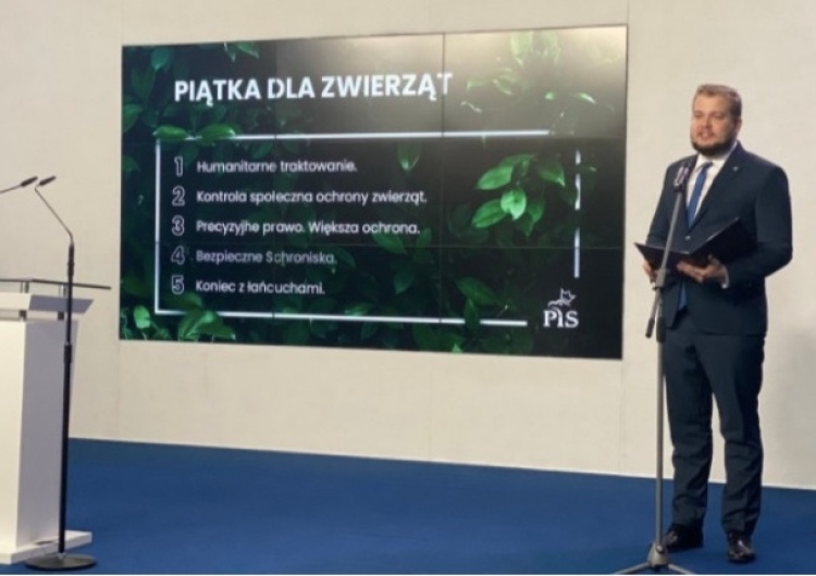 Minister rolnictwa zaprasza uczestników protestów do rozmowy o