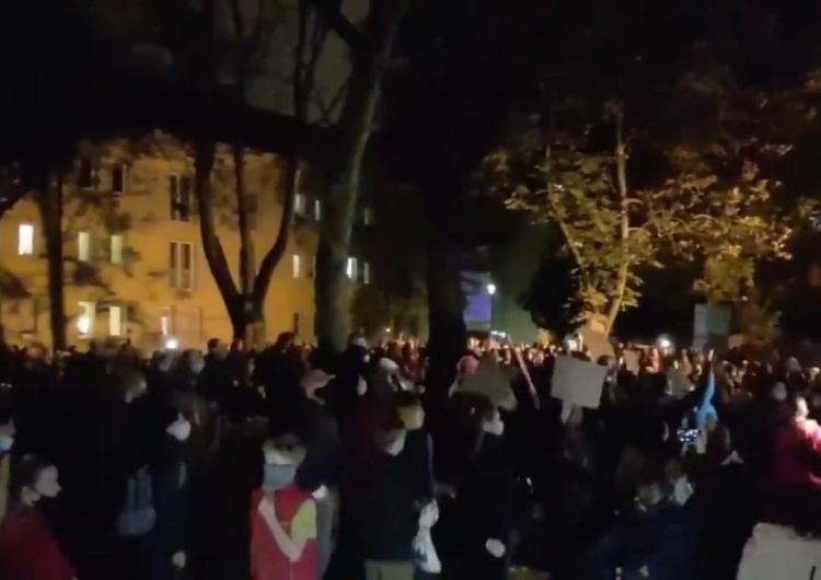  [video] Krystyna Pawłowicz o demonstrantach pod jej oknami: 