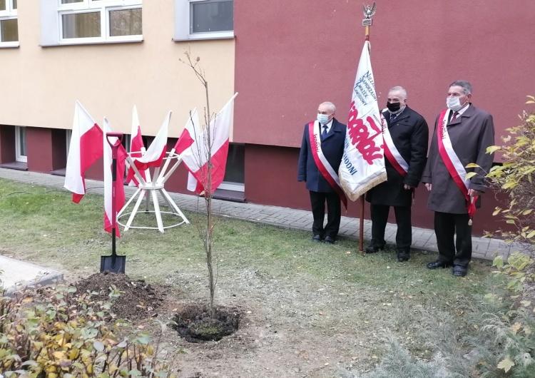  Dąb Solidarności i Wolności w 40. rocznicę rejestracji NSZZ 