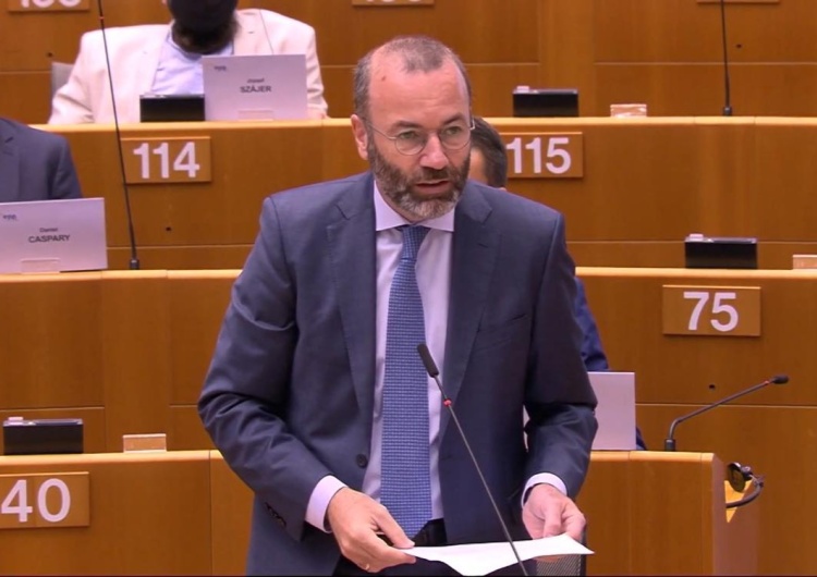 Manfred Weber Weber ws. weta: