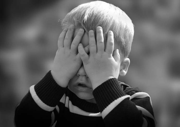 Państwowa Komisja ds. Pedofilii od dziś przyjmuje wnioski o badanie spraw
