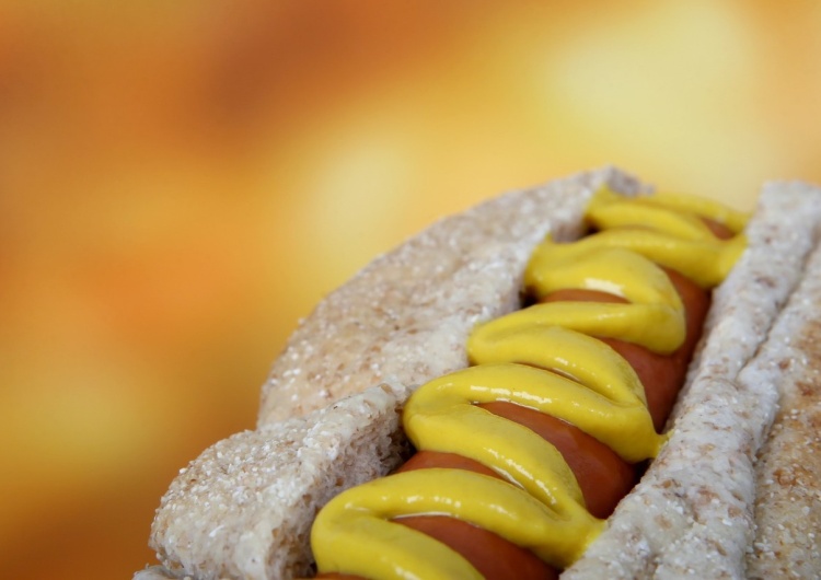 hot dog Marcin Brixen: Wszyscy wyhotdożeni