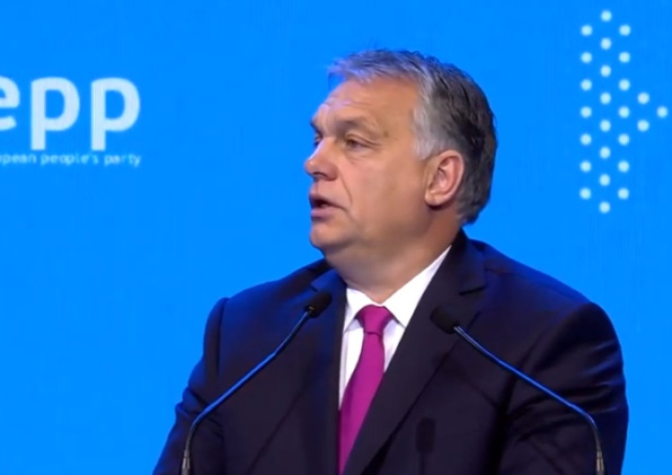 screenYT/EPP Orban komentuje udział europosła Fideszu w orgii