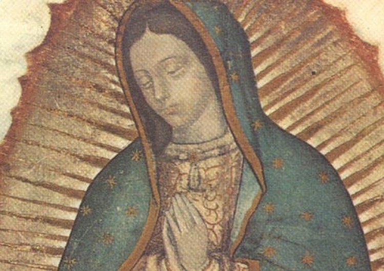 Matka Boska z Guadelupe [Tylko u nas] Marcin Bąk: Santa Maria de Guadalupe, Patronka obu Ameryk 