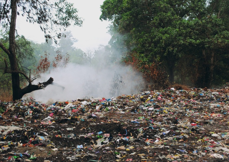  Las tonący w śmieciach! Firma, której klienci płacą za utylizację śmieci, wyrzuciła je do lasu