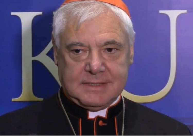 kard. Gerhard Müller Kard. Müller: Przemoc polskich katolików wobec Kościoła jest ślepą nienawiścią do samego siebie