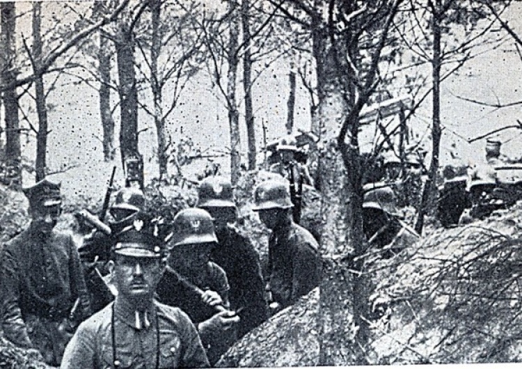 Powstańcy wielkopolscy w okopach, styczeń 1919