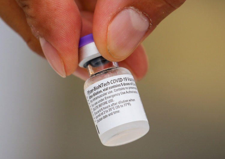 szczepionka na koronawirusa firmy Pfizer [Tylko u nas] Krysztopa: Nie, szczepienia na koronawirusa nie powinny być obowiązkowe