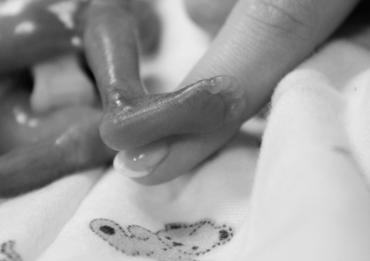  [Tylko u nas] Agnieszka Żurek: Szczepionki a aborcja. Gdzie są granice flirtu ze złem?