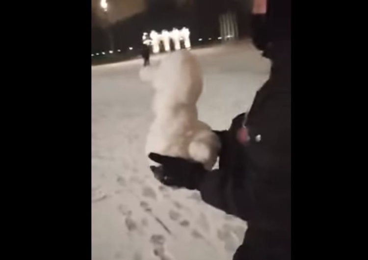  [video] Aktywistki Strajku Kobiet postawiły bałwana w kształcie kaczki przed pomnikiem Smoleńskim. 