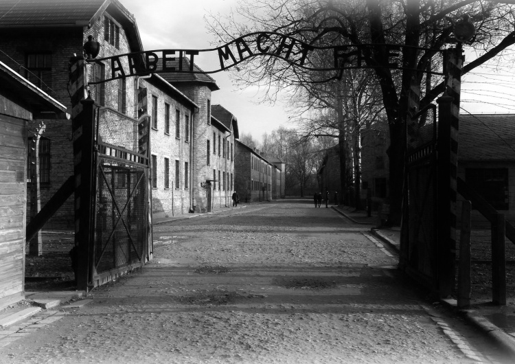  Międzynarodowy Dzień Pamięci o Ofiarach Holokaustu. Obchody 76. rocznicy wyzwolenia KL Auschwitz - tylko online
