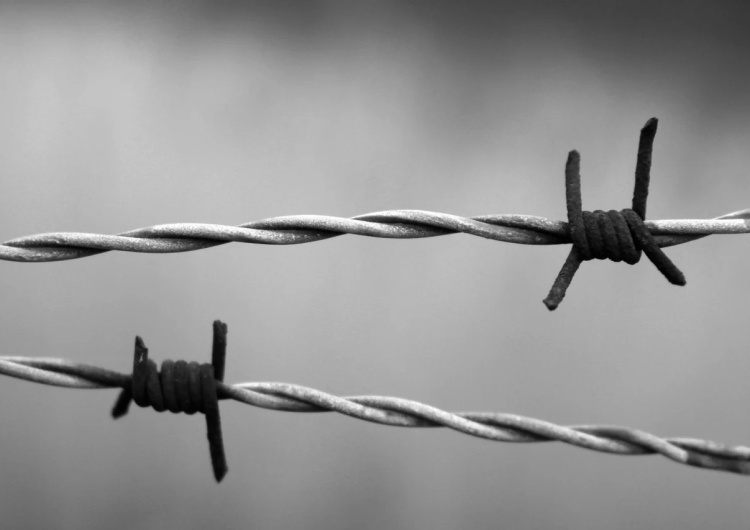 drut kolczasty, Auschwitz Tagesspiegel: