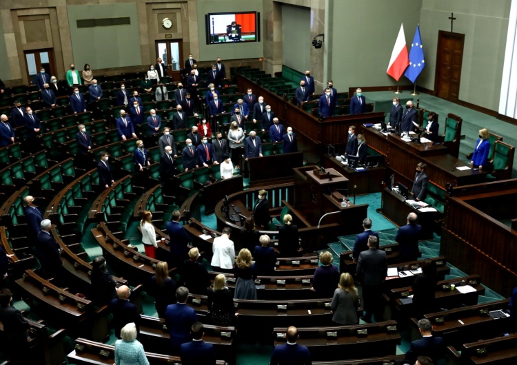 Nitras, Kierwiński, Szczerba, Tomczyk...