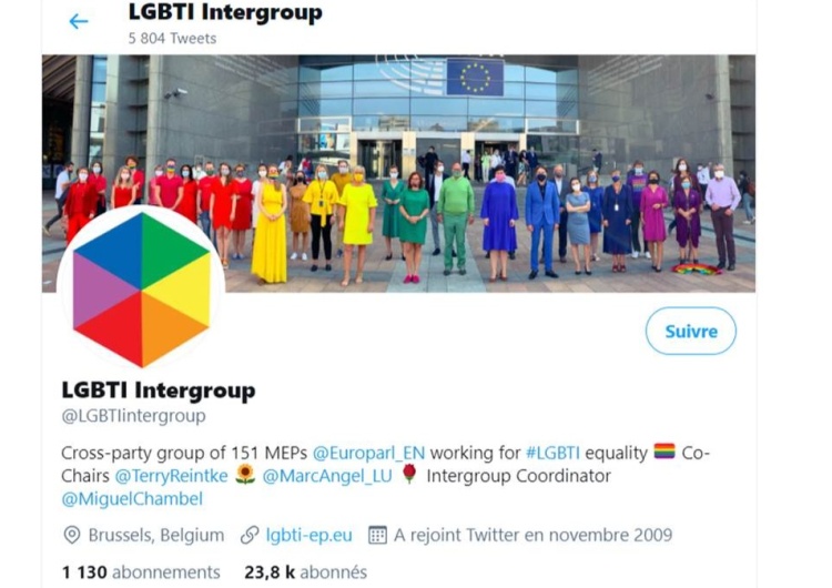  Les eurodéputés  LGBT veulent censurer le représentant de la Pologne au sein du CESE