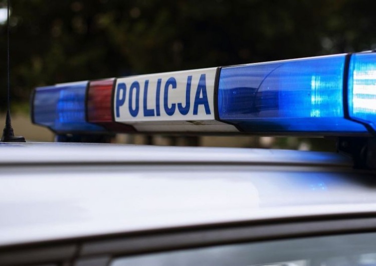 Widziałeś ją? Policja poszukuje zaginionej 19-latki
