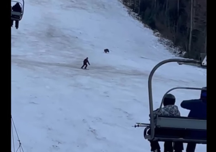  [video] Przerażające. Niedźwiedź pojawił się na na stoku narciarskim i rzucił w pogoń za narciarzem