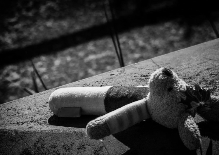 Karmili chłopca niedopałkami papierosów, karmą dla gryzoni, bili, aż w końcu udusili? Szokujący akt oskarżenia wobec 21-letniej matki i jej partnera