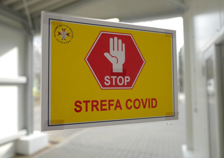 Blisko 20 tys. zakażeń. Nowy raport MZ ws. koronawirusa