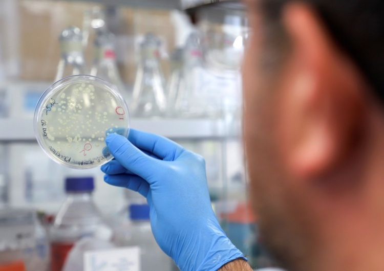  Francja: MZ informuje o mutacji koronawirusa, której... nie wykrywają masowo stosowane testy