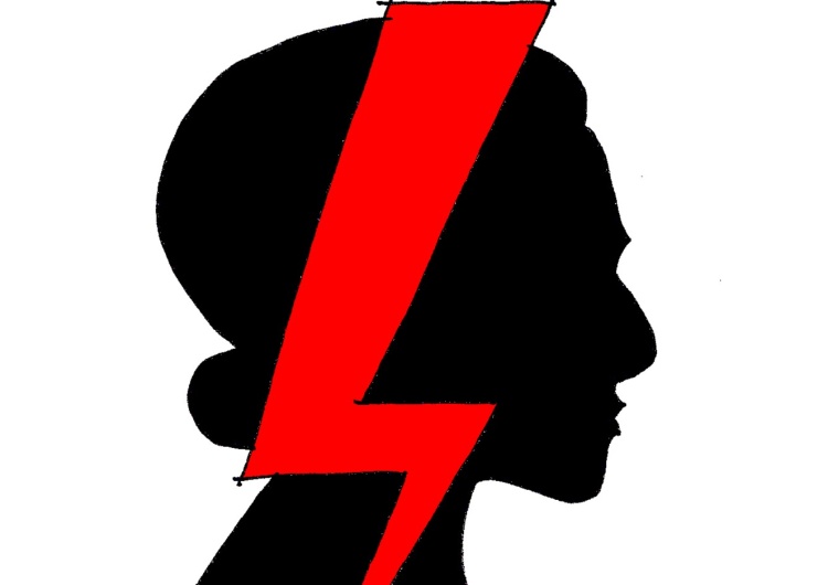 urządzenie elektryczne [Nowy rysunek Krysztopy] 