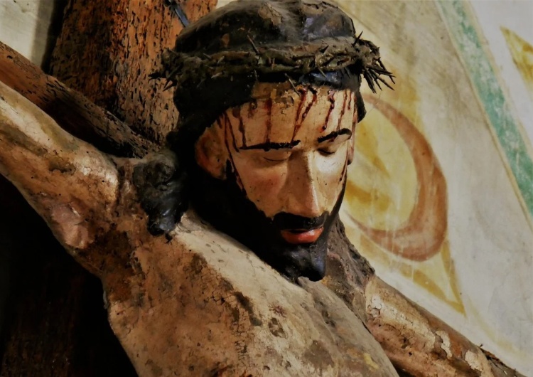 Jezus Chrystus [Tylko u nas] Dr Brzeski: Polewanie wodą na mrozie. Bicie. Tortury. Wyrywanie Chrystusa z korzeniami