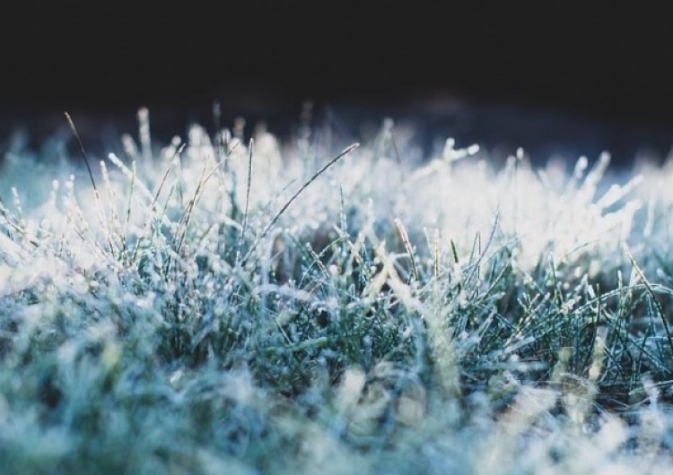 Temperatura spadnie nawet do -7 stopni. IMGW ostrzega