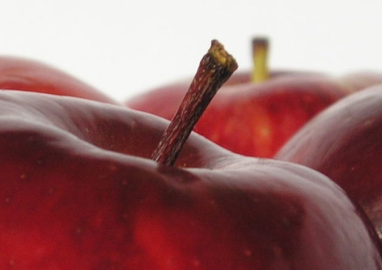 jabłka Marcin Brixen: Czyj ból jest lepszy czyli owocobus