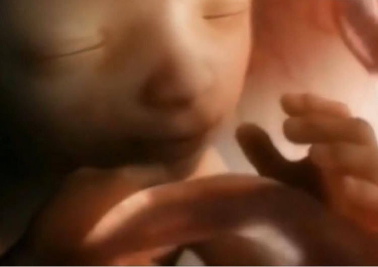 Obrońcy życia aresztowani! Rozdawali róże kobietom, udającym się do centrum aborcyjnego