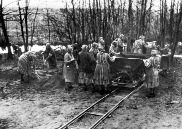  Dziś rocznica wyzwolenia kobiecego obozu koncentracyjnego Ravensbrück. 