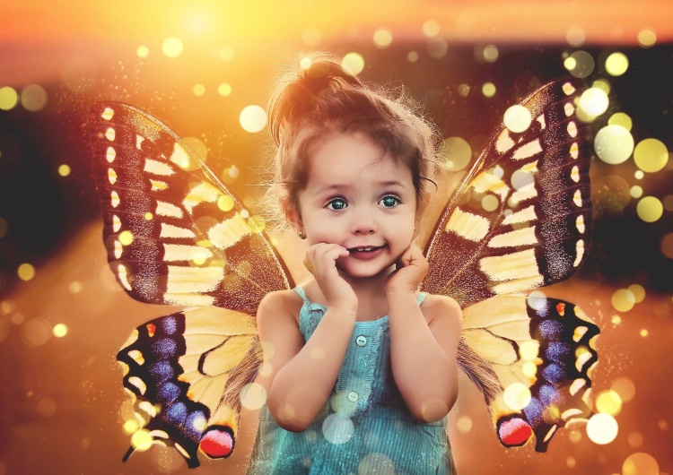 Législations provie aux USA : l’effet papillon