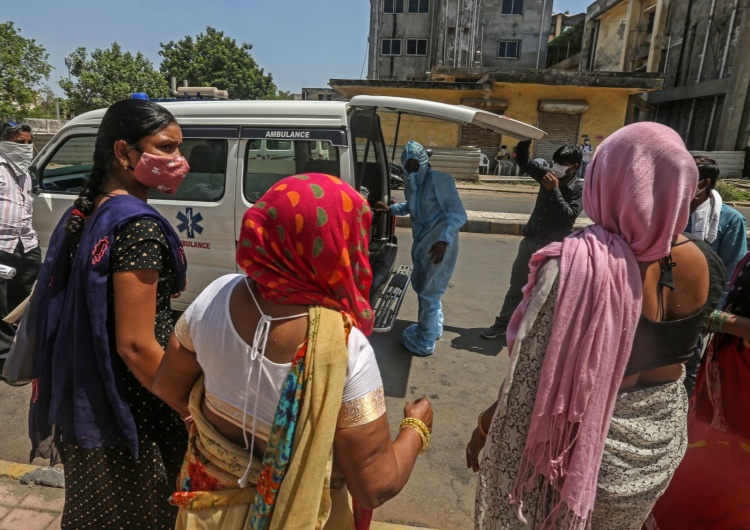  Indie: Lekarze ostrzegają przed stosowaniem... krowich odchodów jako leku przeciw Covid-19