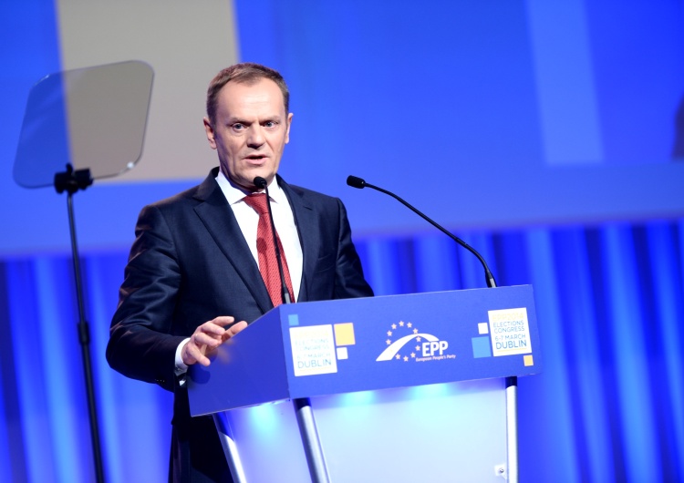  Tusk wróci do polskiej polityki? „Prowadzi szeroko zakrojone rozmowy”