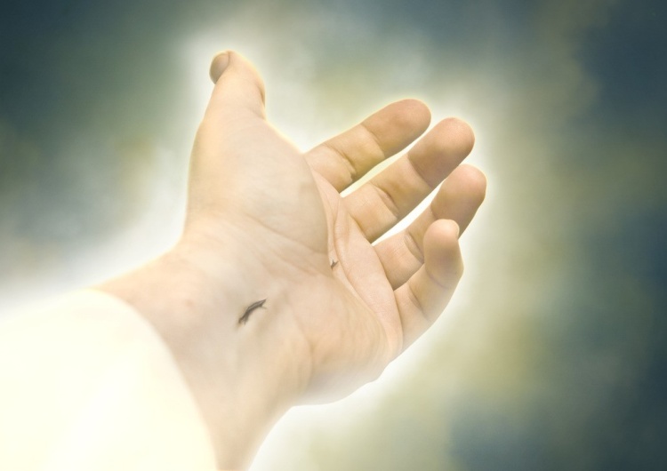 Ręka Jezusa Chrystusa [Tylko u nas] Tomasz Terlikowski: Ewangelii głoszenie pozytywne