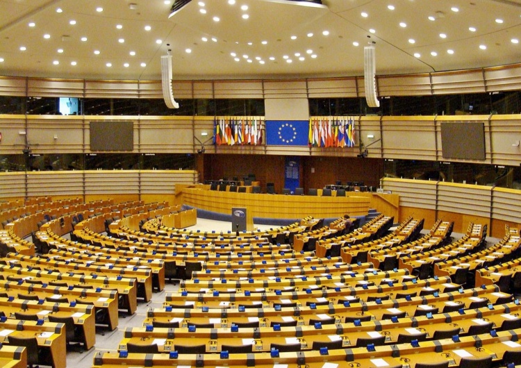 Parlament Europejski, Bruksela Była działaczka Platformy do opozycyjnej europosłanki: To jest zdrada stanu!