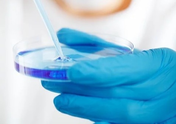 laboratorium Naukowcy twierdzą, że COVID-19 stworzył człowiek. Ich badania były ignorowane